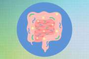 The anti-obesity effects of postbiotics: A systematic review of pre-clinical and clinical studies