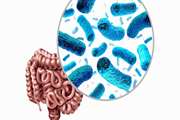 Preliminary investigation on the association of dietary total antioxidant capacity alternative healthy eating index, and dietary inflammatory index with intestinal microbiota in patients with diabetic nephropathy