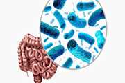 Preliminary investigation on the association of dietary total antioxidant capacity alternative healthy eating index, and dietary inflammatory index with intestinal microbiota in patients with diabetic nephropathy