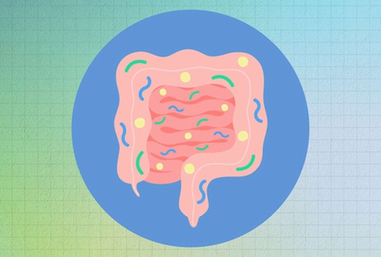 The anti-obesity effects of postbiotics: A systematic review of pre-clinical and clinical studies {faces}